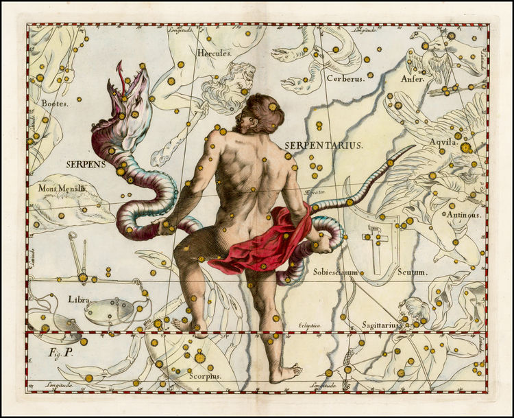 Ophiuchus Serpentarius - serpent holder.jpg